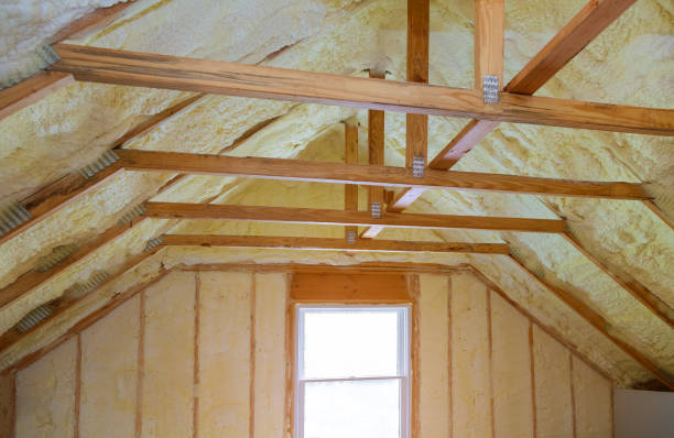 Best Insulation Installation Services in Spring Hill, KS
