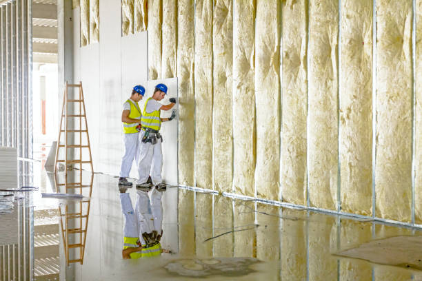 Best Insulation Maintenance and Repair in Spring Hill, KS